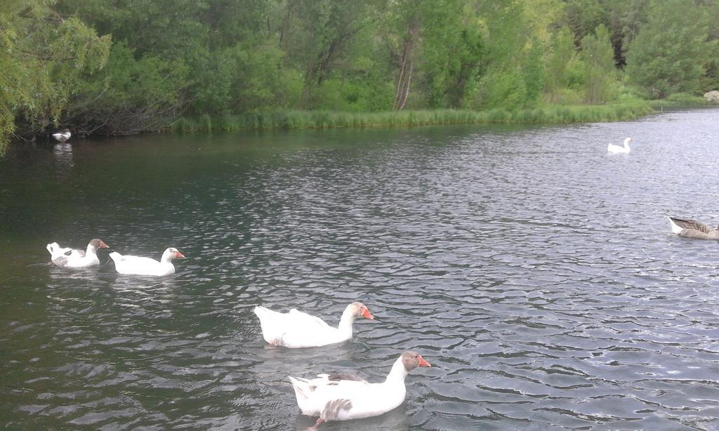 Jermuk Verona Resort Luaran gambar